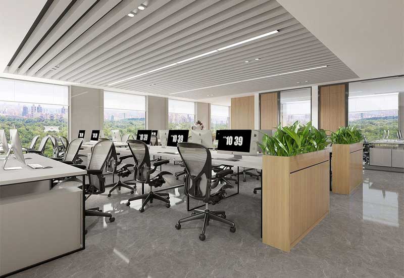 鄭州辦公室裝修設(shè)計的綠植種類:耐陰與易養(yǎng)護品種